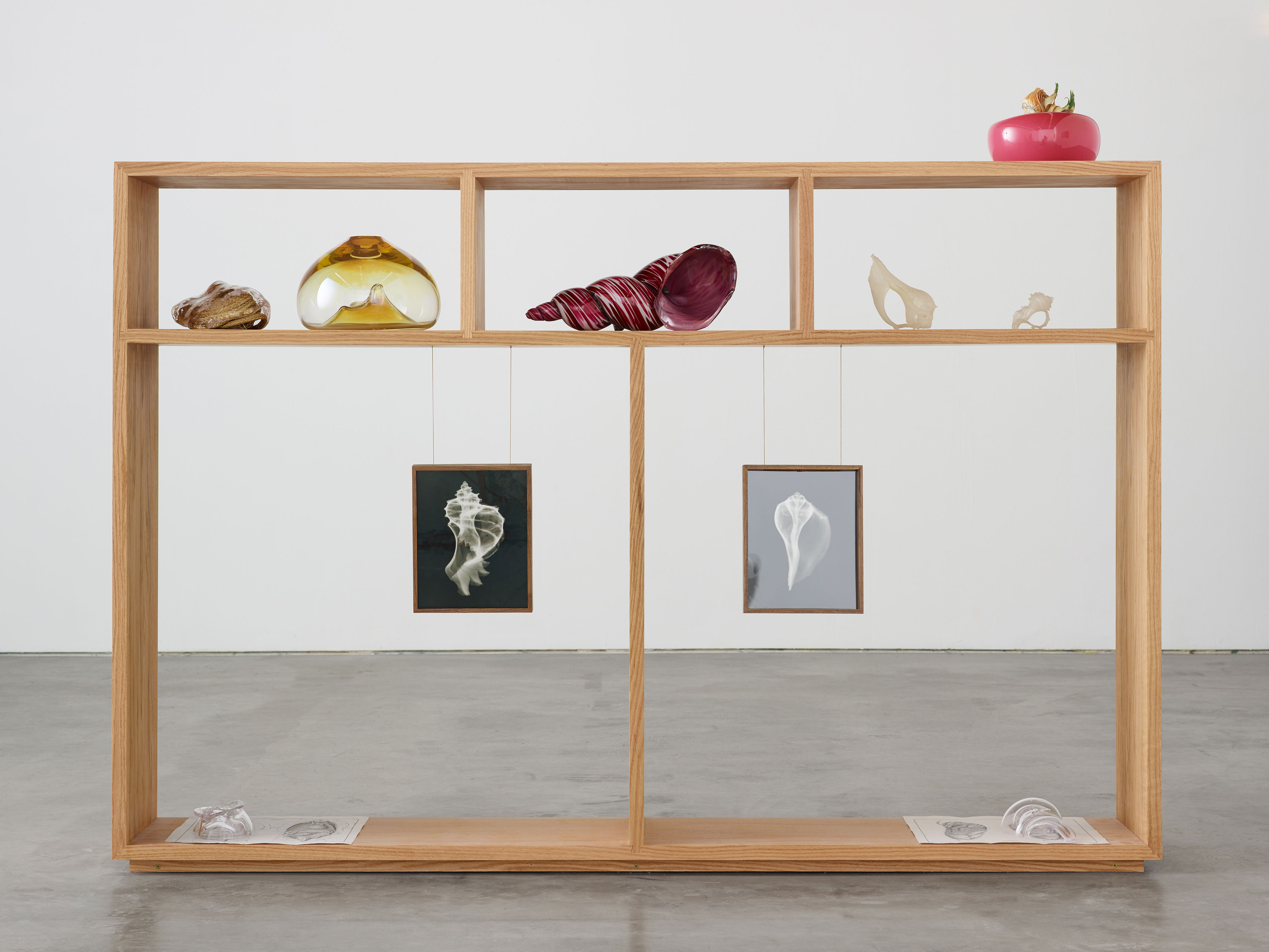 Wood shelving unit holding various objects and artworks created by artist Kelly Akashi