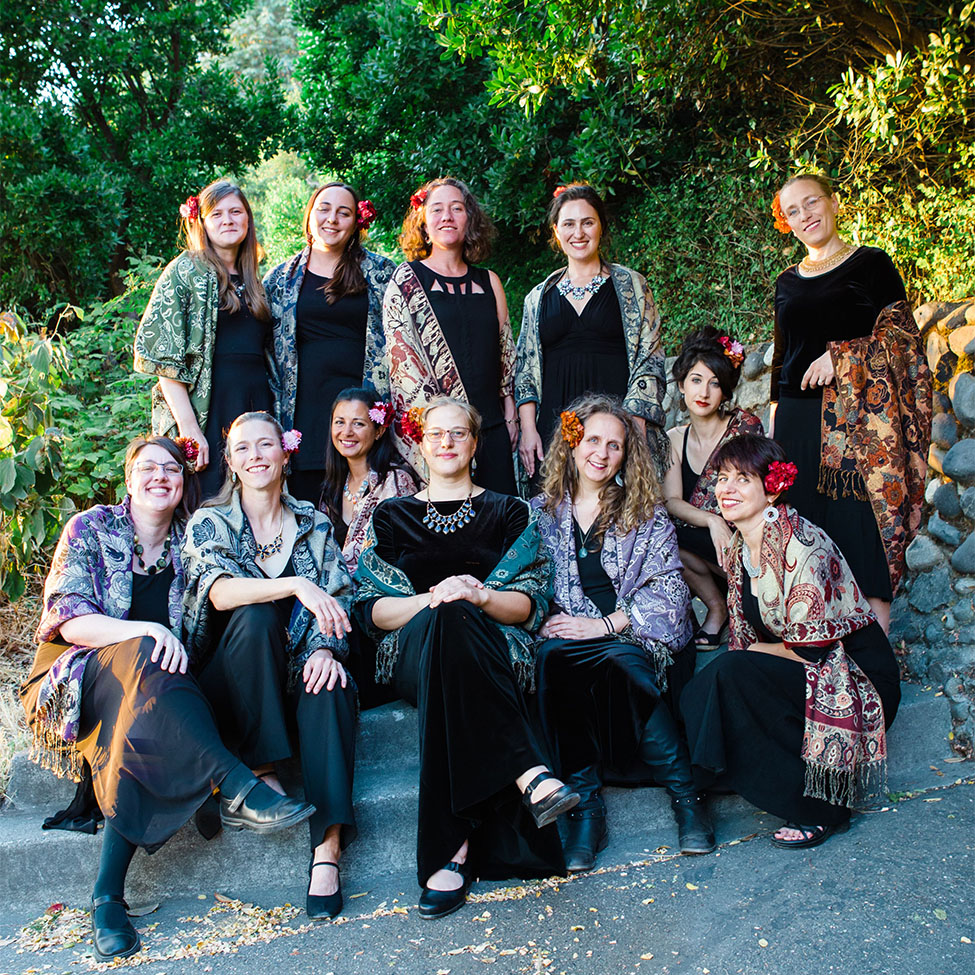 Members of Dunava women's choir