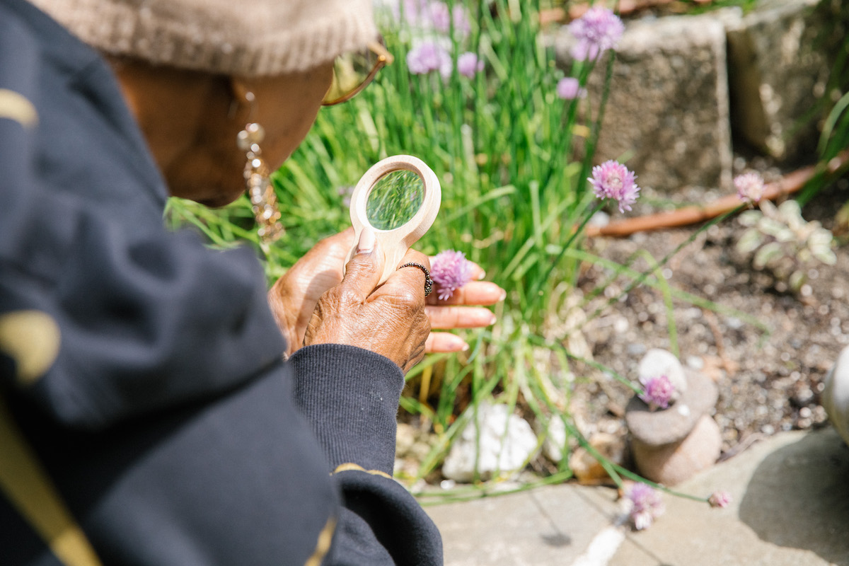 An older person looking at a flower through a magnifying glass in a sunny garden