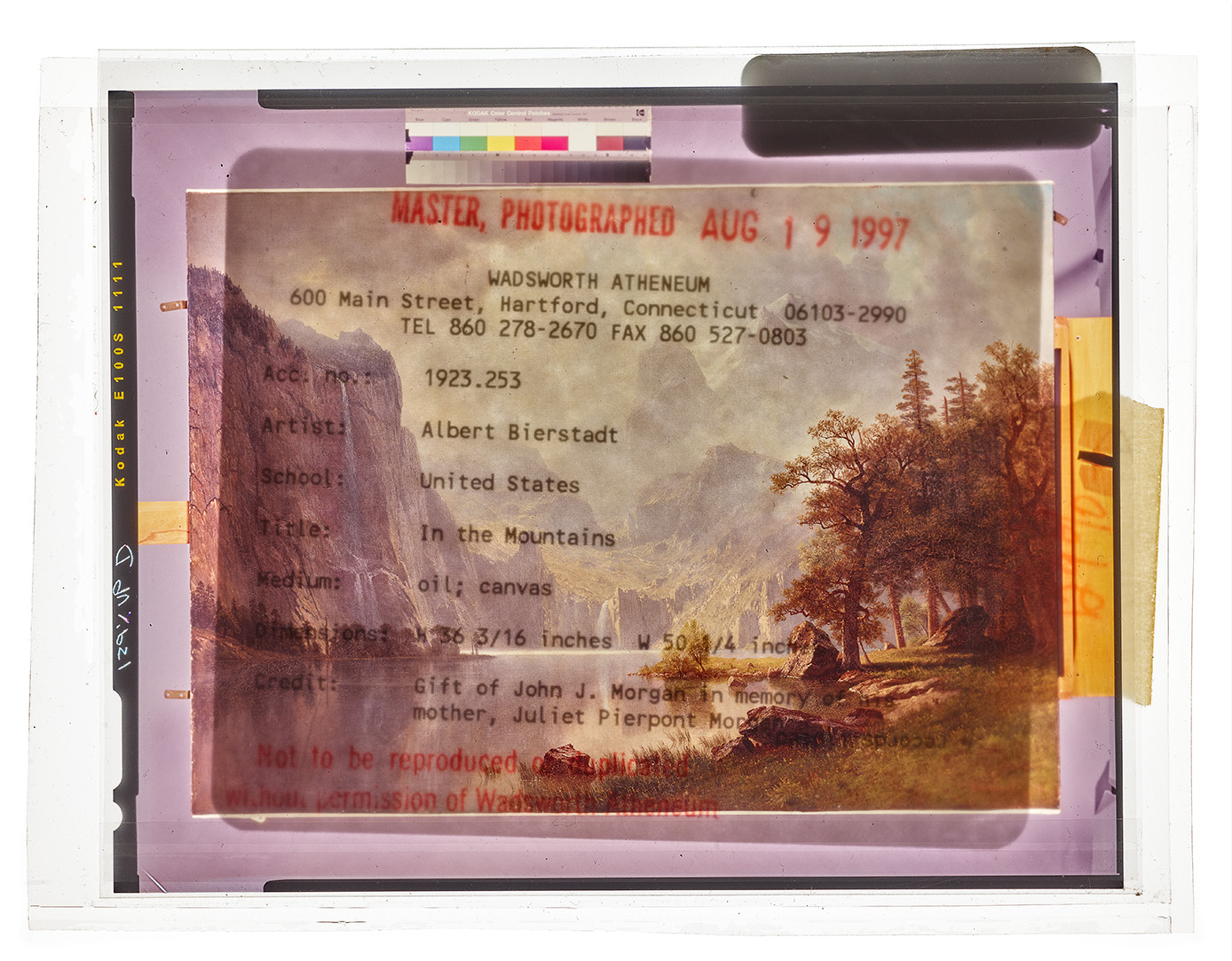 A photo of a transparent negative image of a painting with a museum catalog card