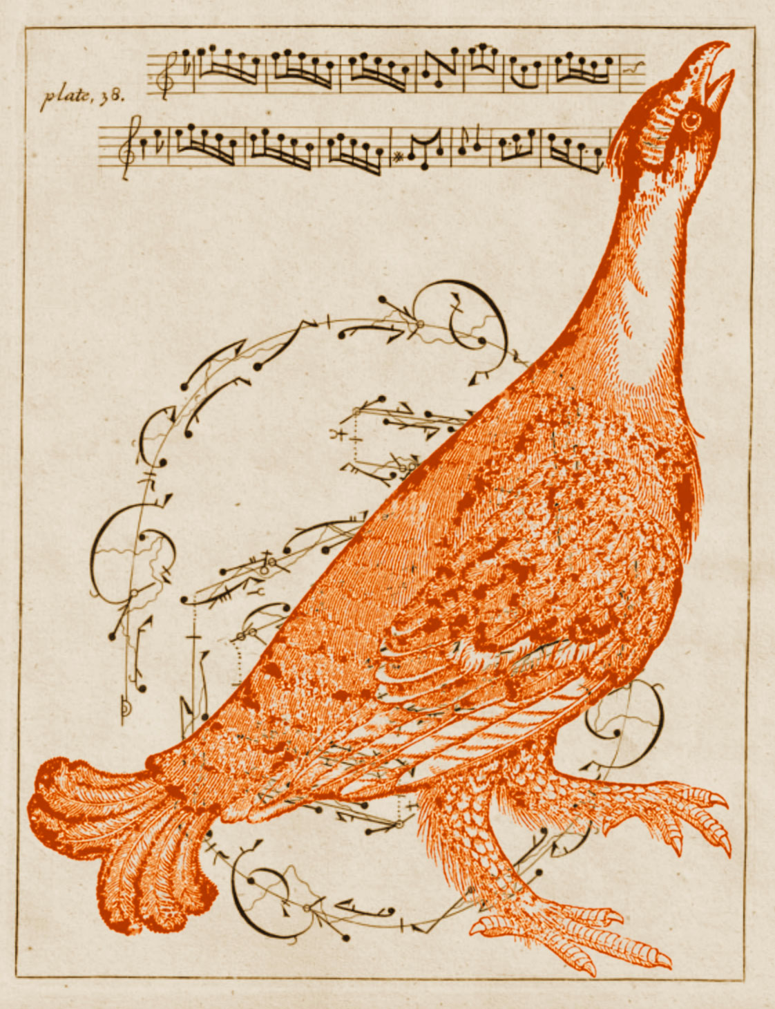 An illustration depicting a bird screen-printed over musical notation