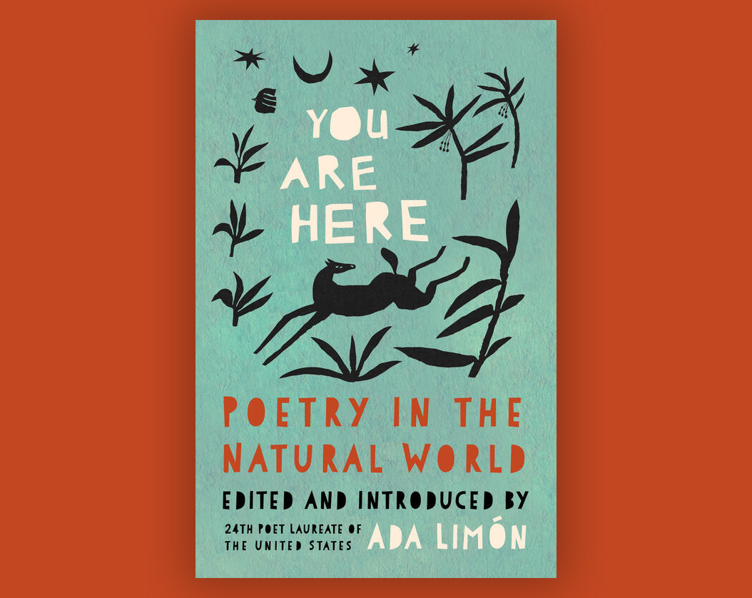 A blue book cover against a red background. The cover has illustrations of plants and an animal and the text 'You Are Here: Poetry in the Natural World'