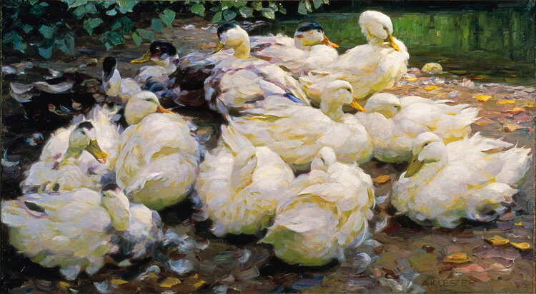Alexander Max Koester. Moulting Ducks, ca. 1900.