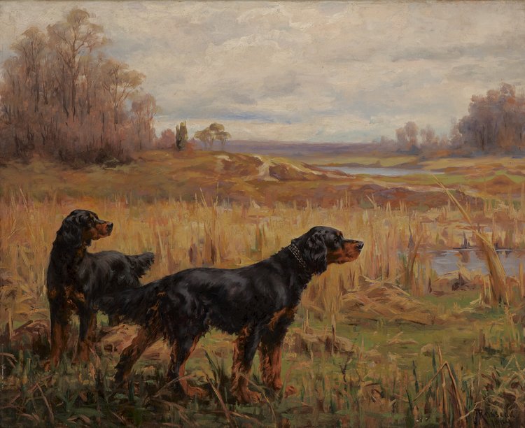 Percival Rosseau. Two Gordon Setters in a Field, 1904.
