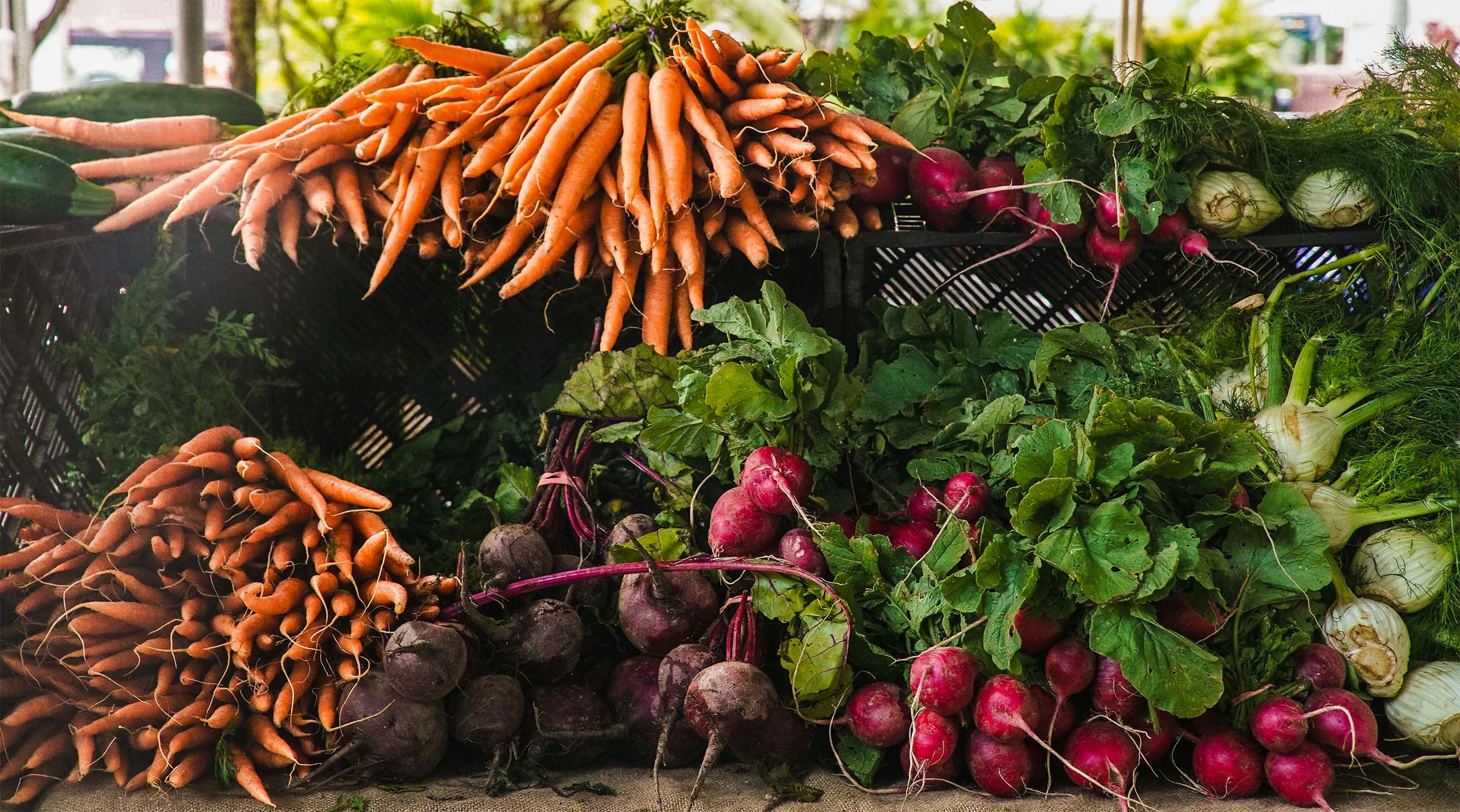 Vegetables including carrots and radishes stacked on a table