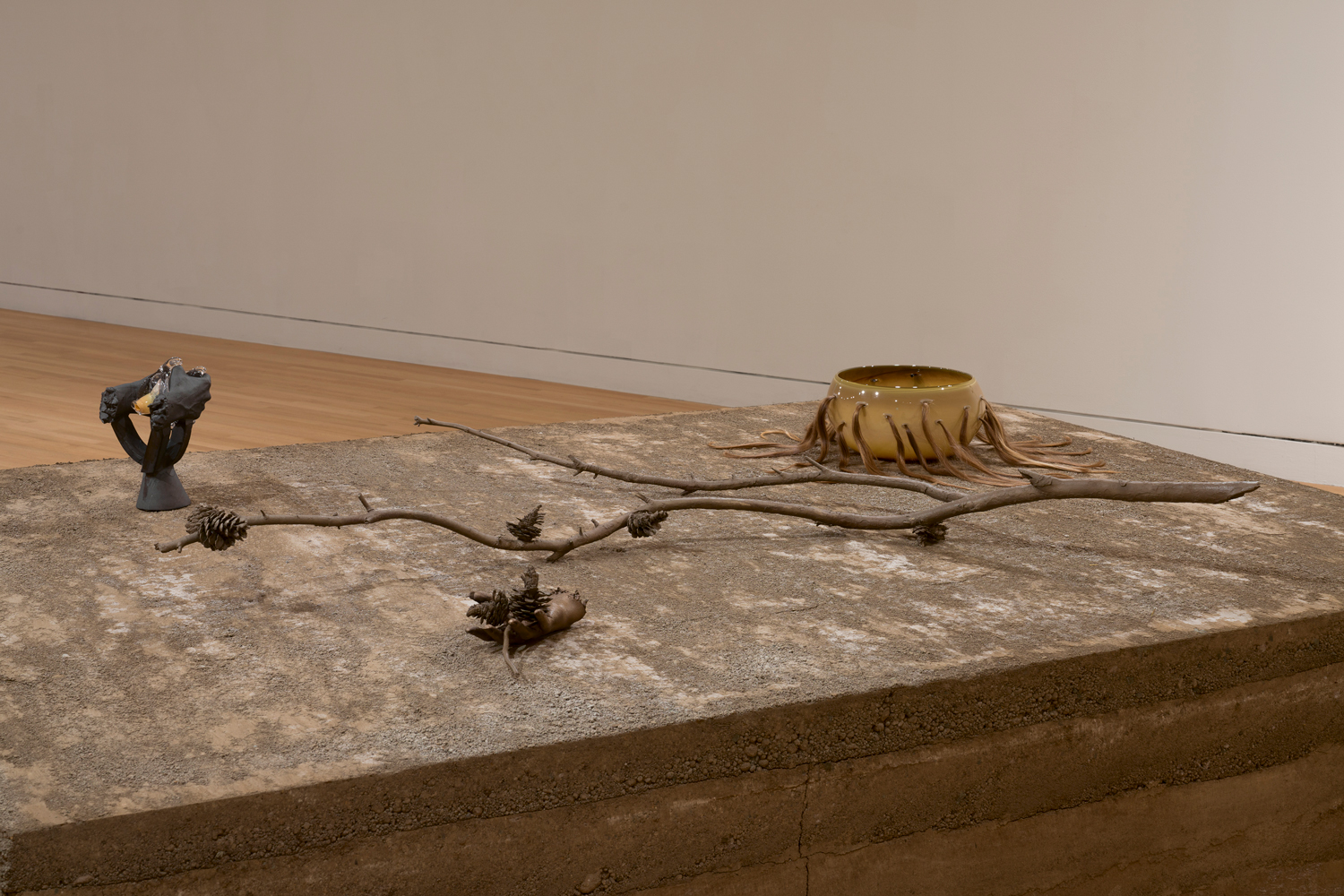 Photo of four sculptural works of art by Kelly Akashi, including a cast bronze tree limb, sitting on a earthen pedestal