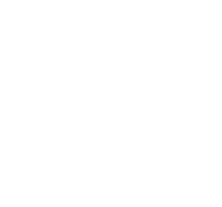 Brandywine Museum of Art logo