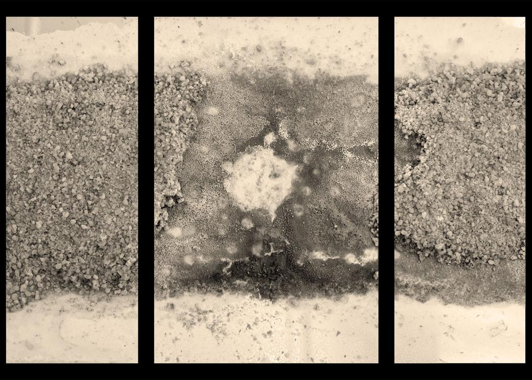 A sepia-toned image of different types of salt on a surface behind black bars