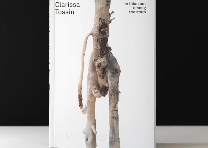 洋楽 Cleanse the Bacteria - Various Artists Cleanse the Bacteria | eBay