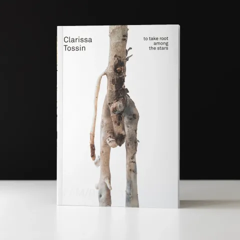 The cover of the exhibition monograph Clarissa Tossin: to take root among the starts, featuring a photo of a silicone case of a tree