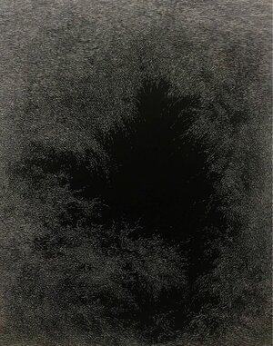 Mary Ann Peters. this trembling turf (the hollow), 2021. White pigment on black clayboard. 60 x 48 in. Courtesy of the artist and James Harris Gallery
