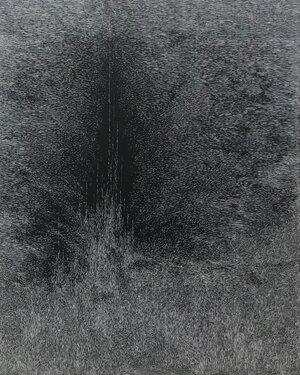Mary Ann Peters. this trembling turf (burst), 2019. White pigment ink on black clayboard. 60 x 48 in. Seattle University Permanent Art Collection. Courtesy of the artist