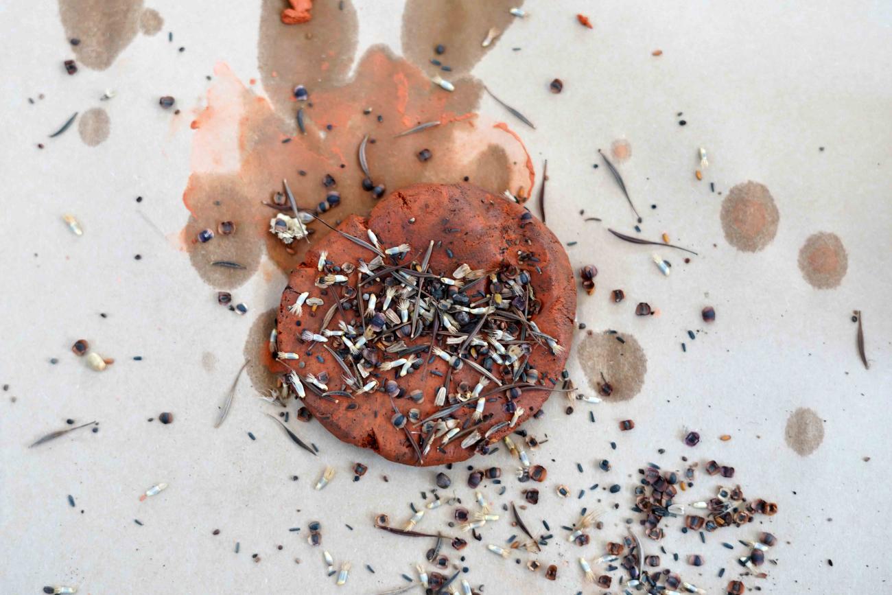 Photo of a flattened piece of clay with seeds sprinkled on top
