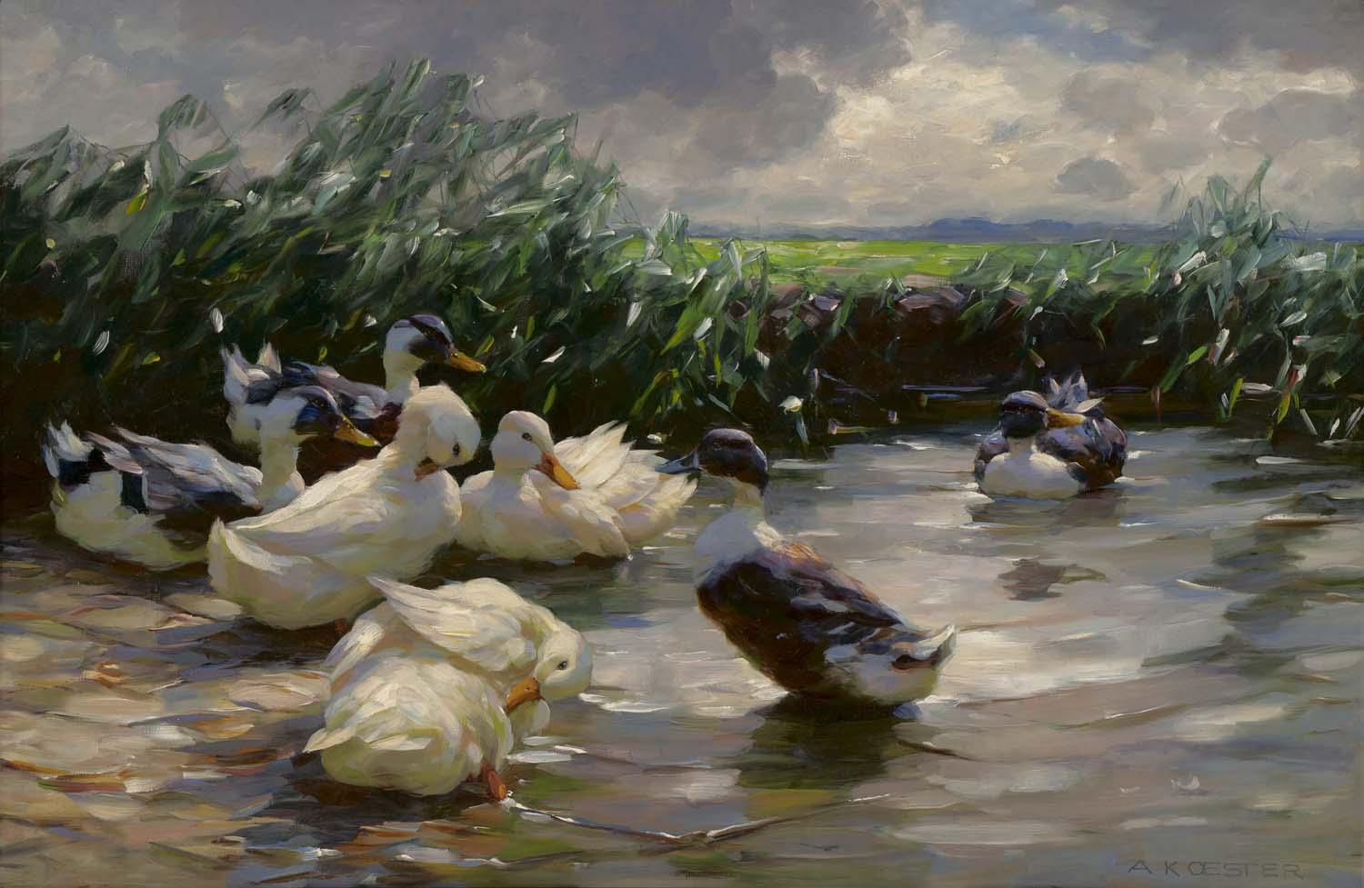 An oil painting of white and black and white ducks in an open spot in a field of tall grass