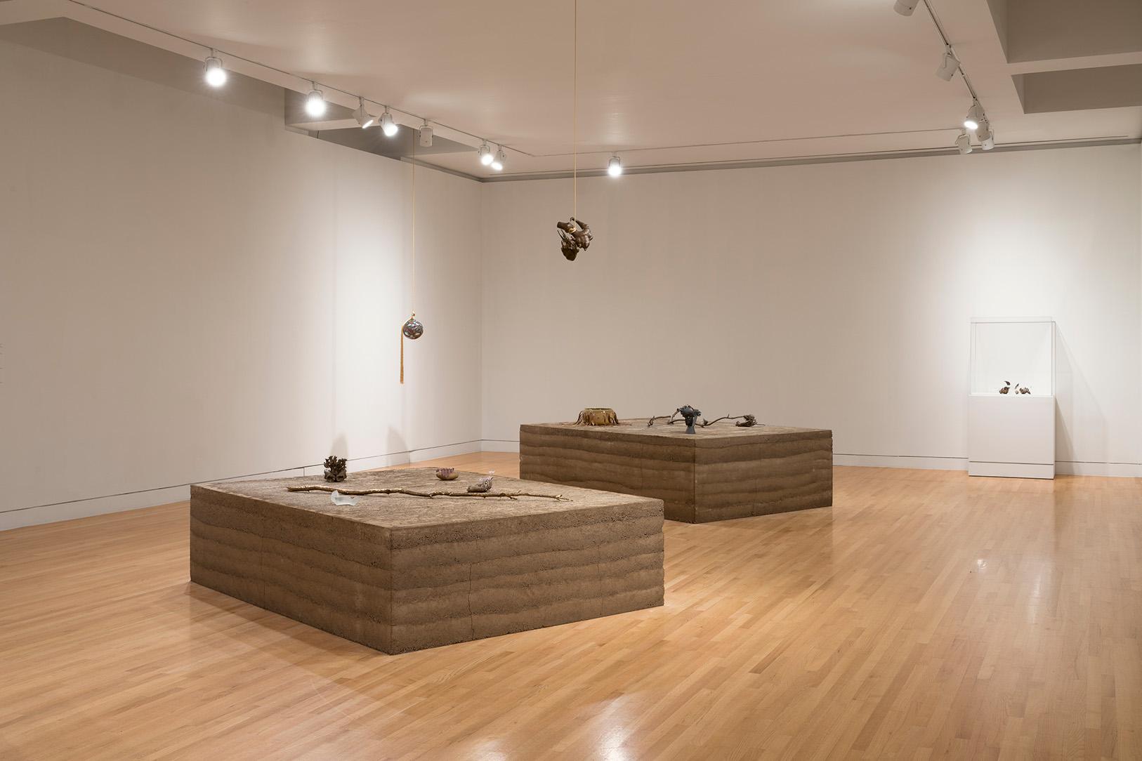 Installation photo of Kelly Akashi: Formations showing artworks on top of rammed earth pedestals and hanging from the ceiling
