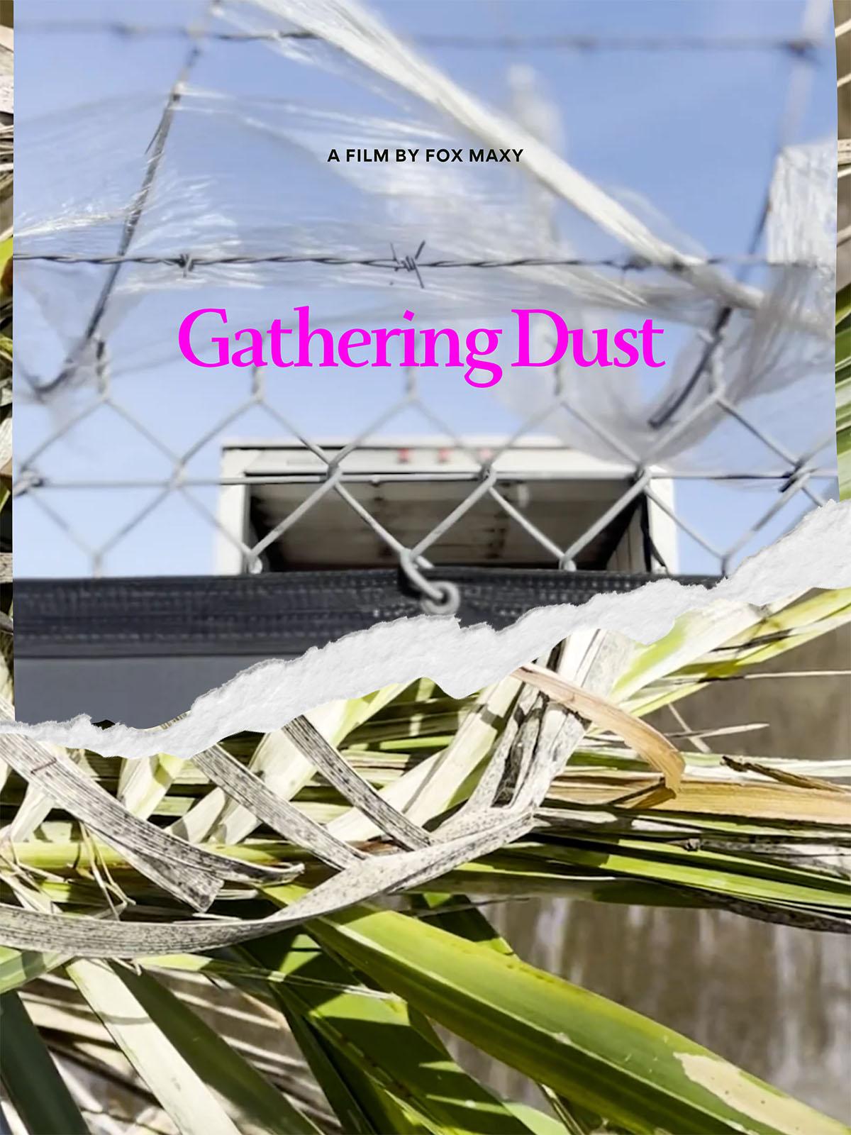 A poster style collage image of plants and a chain link fence with the text 'Gathering Dust' and 'A Film by Fox Maxy'