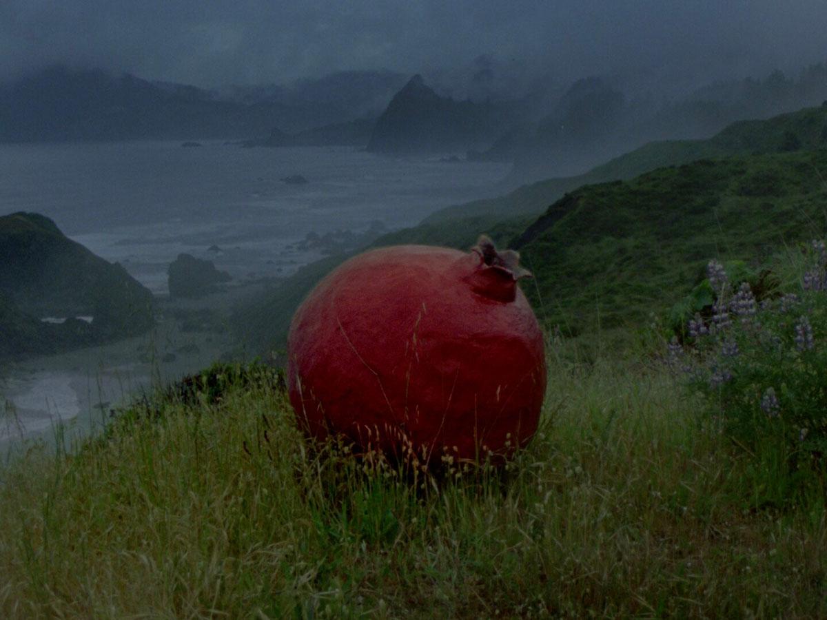 A large model or sculpture of a pomegranate on a grassy hill above a stormy coastline