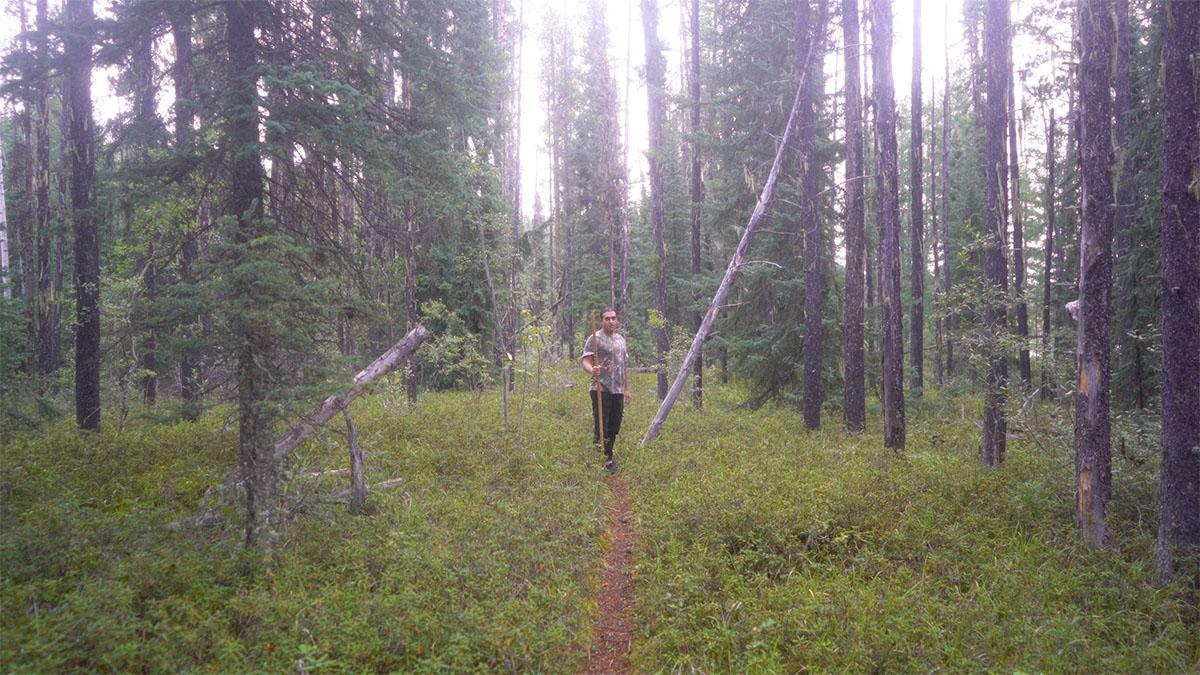 A person holding a tall walking stick and facing back towards the camera in a forest